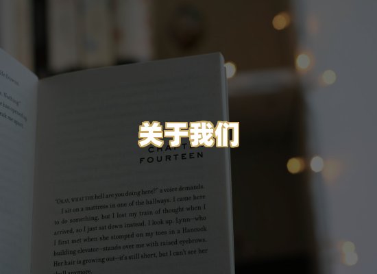 关于我们
